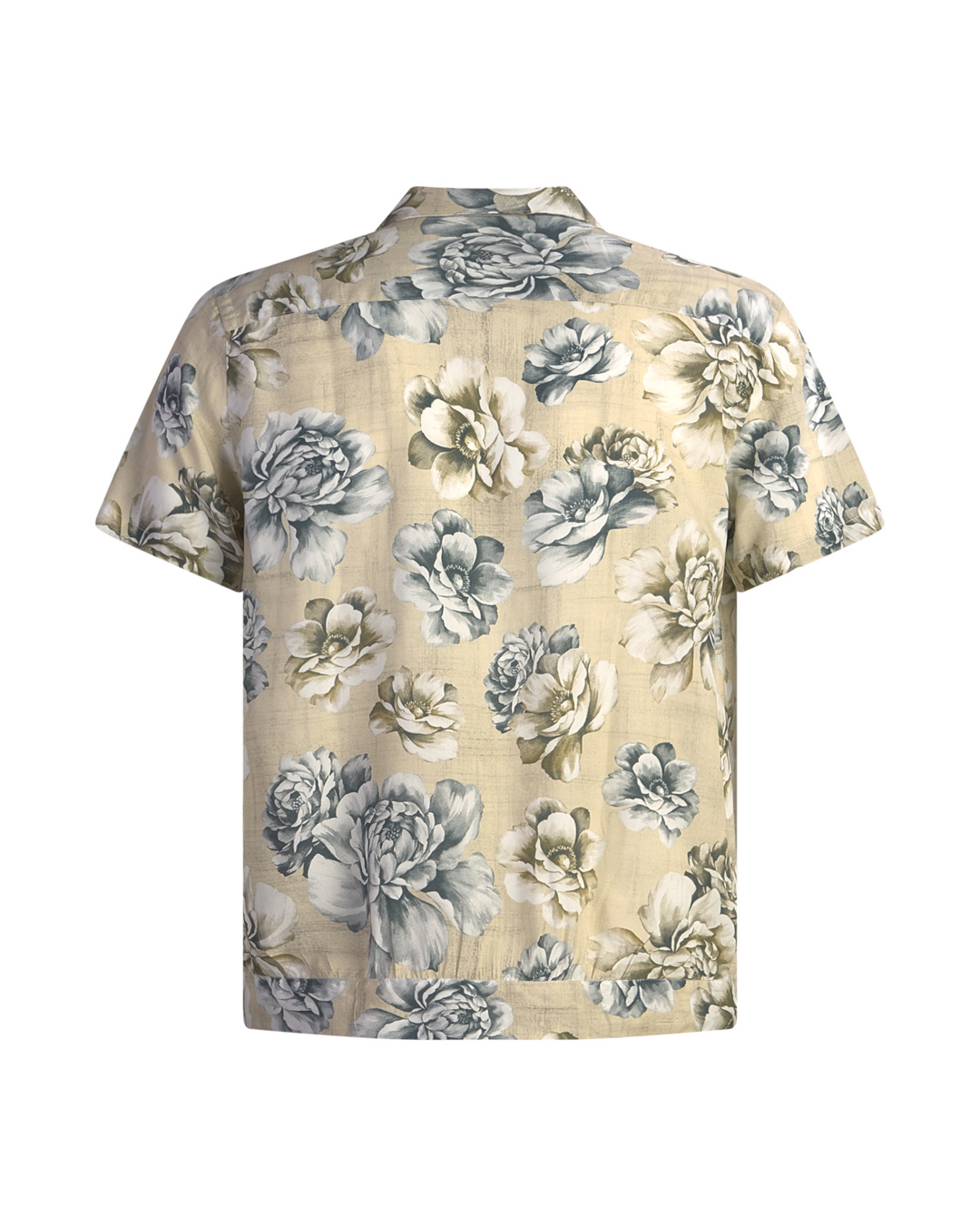 Neill Katter Camicia Rosa Alba Spedizione Gratuita