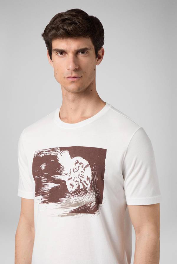Pull Pal Zileri tshirt in cotone con stampa astratta Vendita