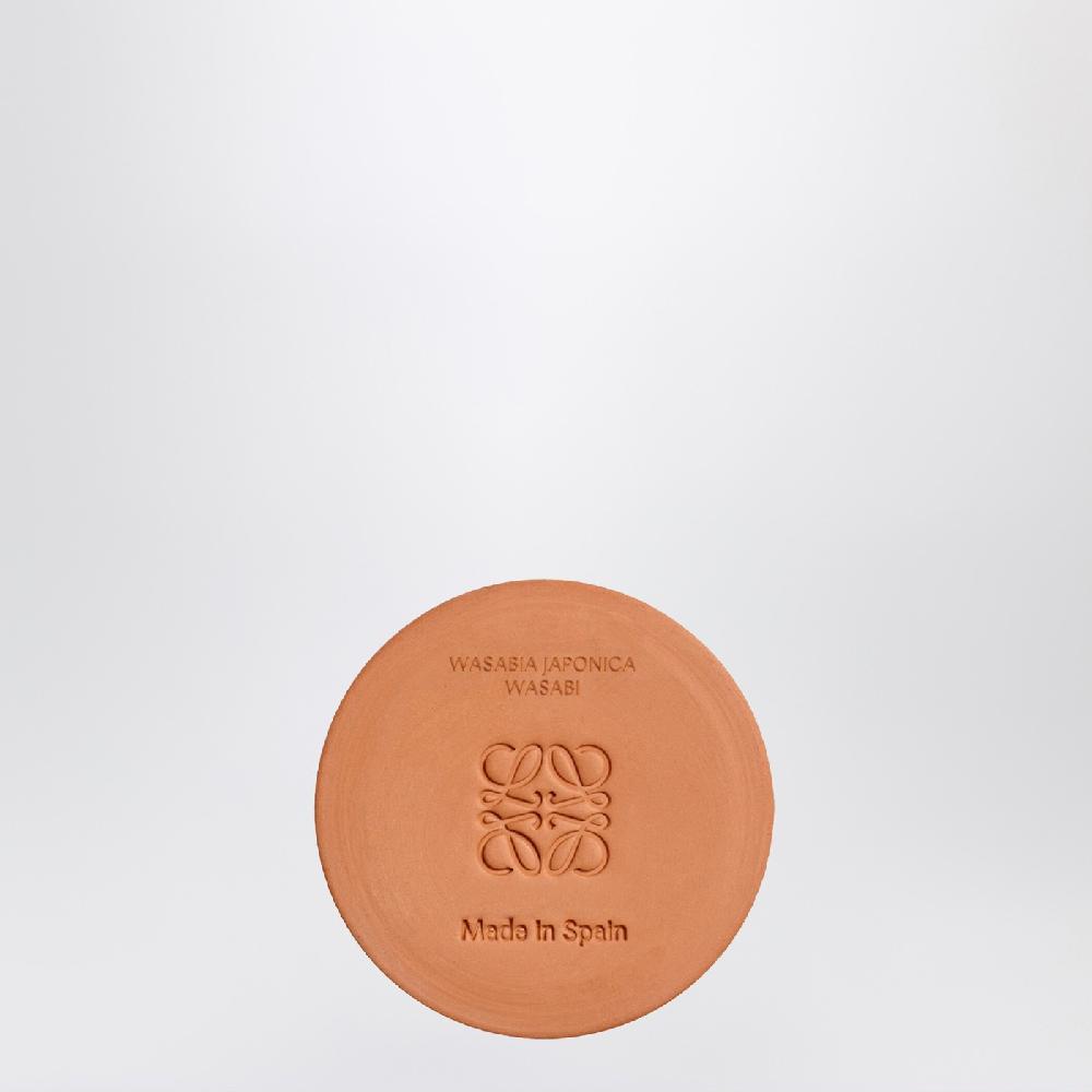 Loewe Candela Wasabi piccola gialla Convenienza