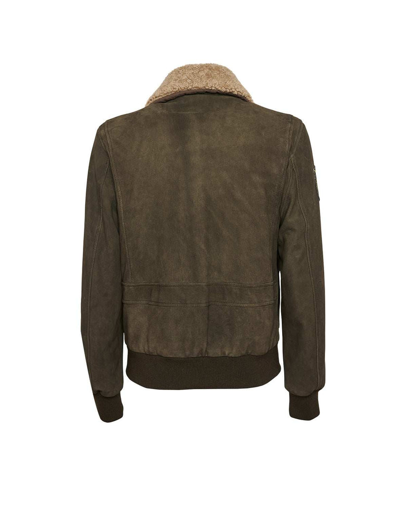 Stewart TORNADO-CHEVRETTE SKIN REMOVABLE COLLAR In Vendita